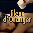Photo Fleur D Oranger