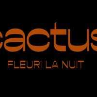 Photo Cactus Bar