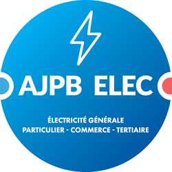 Photo Artisan Jean Patrice Bernard Elec