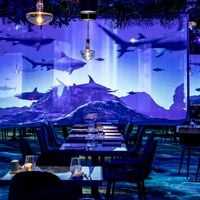 Photo Under the Sea