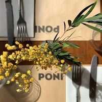 Photo Poni