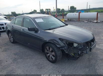 Photo HONDA accord 2.4 ex-l.