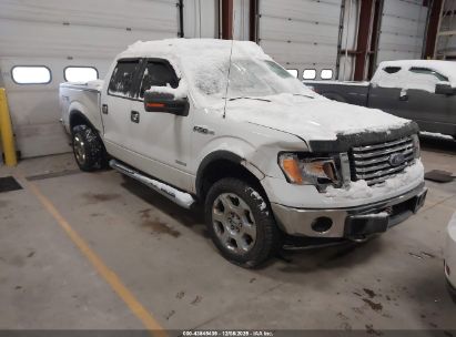 Photo FORD f-150 xlt.