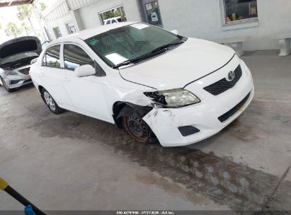 Photo TOYOTA corolla le.