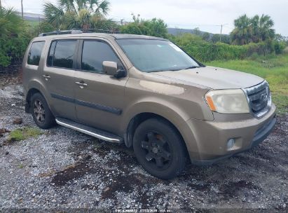 Photo HONDA pilot touring.