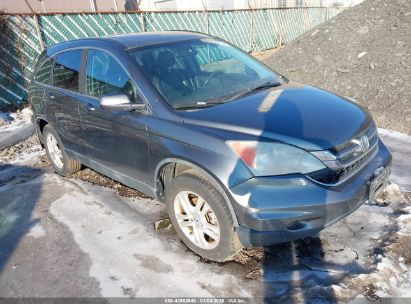 Photo HONDA cr-v ex-l.