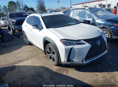 Photo LEXUS ux 250h  .