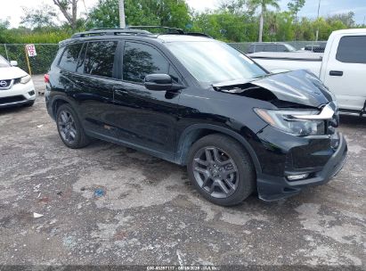 Photo HONDA passport 2wd ex-l.