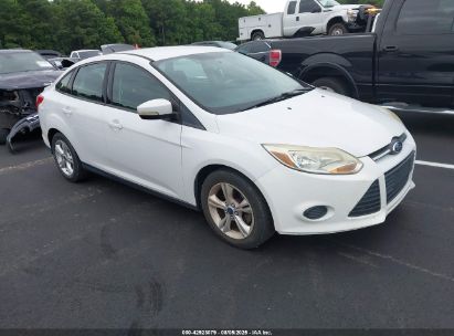 Photo FORD focus se.