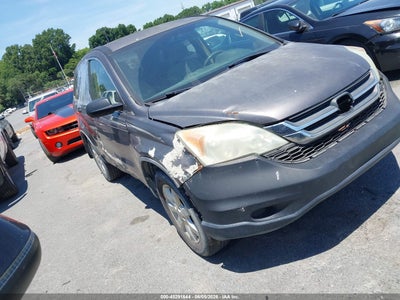 Photo HONDA cr-v se.