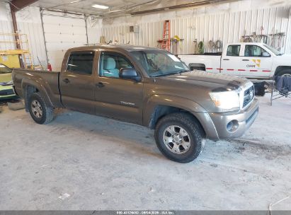Photo TOYOTA tacoma v6.