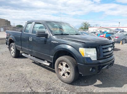 Photo FORD f-150 stx.