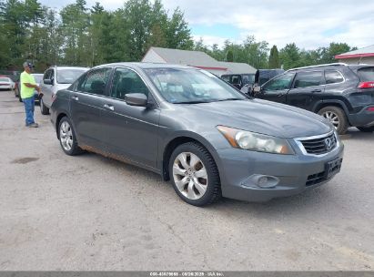 Photo HONDA accord 2.4 ex-l.