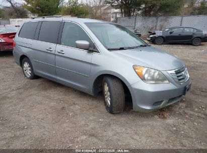 Photo HONDA odyssey ex.