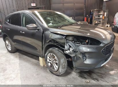 Photo FORD escape se.