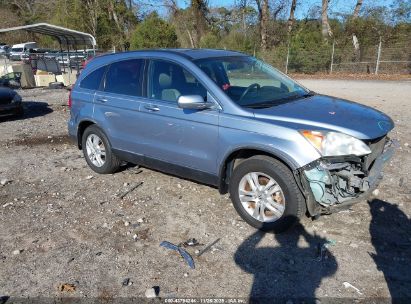 Photo HONDA cr-v ex-l.