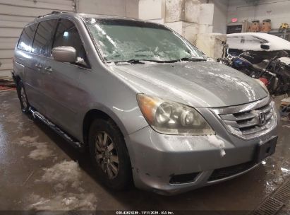 Photo HONDA odyssey ex-l.