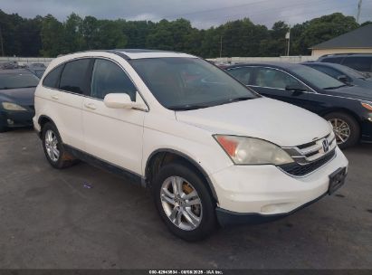 Photo HONDA cr-v ex-l.