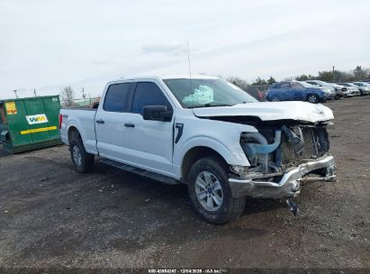 Photo FORD f-150 xl.