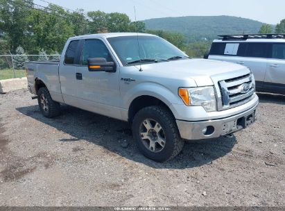 Photo FORD f-150 xlt.