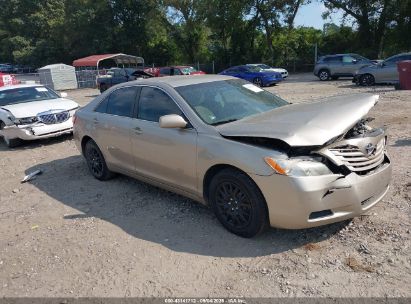 Photo TOYOTA camry le.