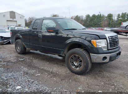 Photo FORD f-150 fx4/lariat/xl/xlt.