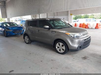 Photo KIA soul  .