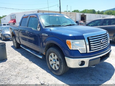 Photo FORD f-150 fx4/harley-davidson/king ranch/lariat/platinum/xl/xlt.