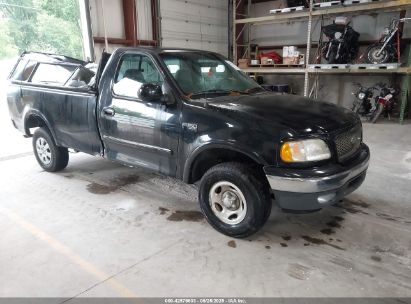 Photo FORD f-150 xl/xlt.