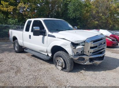 Photo FORD f-250 xl.