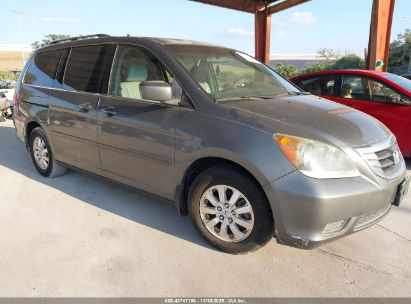 Photo HONDA odyssey ex-l.
