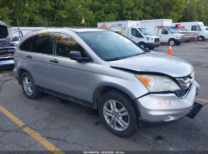 Photo HONDA cr-v ex.