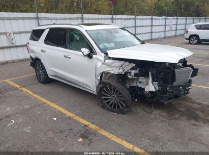 Photo HYUNDAI palisade calligraphy.