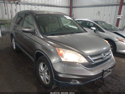 Photo HONDA cr-v ex-l.