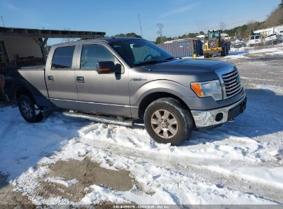 Photo FORD f-150 xlt.
