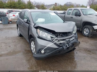 Photo HONDA cr-v ex-l.