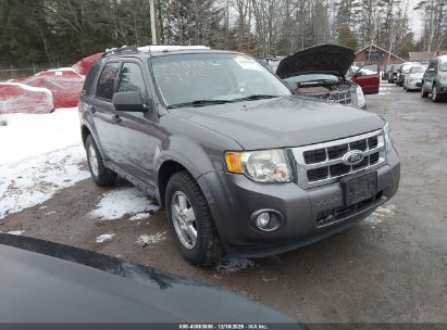Photo FORD escape xlt.