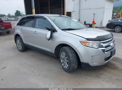 Photo FORD edge limited.