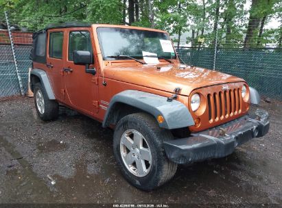Photo JEEP wrangler unlimited sport.