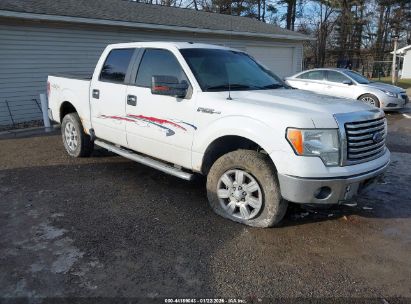 Photo FORD f-150 xlt.