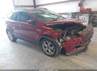 Photo FORD escape se.