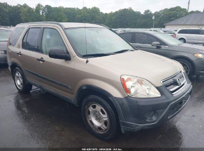 Photo HONDA cr-v lx.