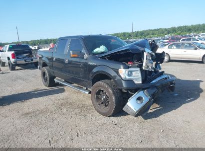 Photo FORD f-150 xlt.