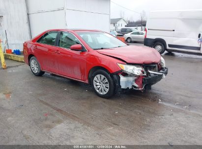 Photo TOYOTA camry le.