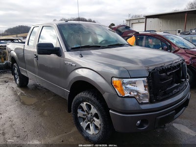 Photo FORD f-150 stx.