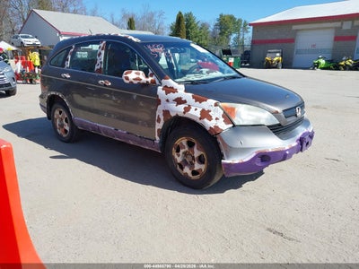 Photo HONDA cr-v lx.