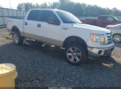 Photo FORD f-150 fx4/king ranch/lariat/platinum/xl/xlt.