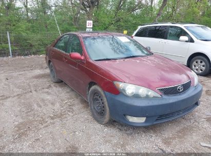 Photo TOYOTA camry se.