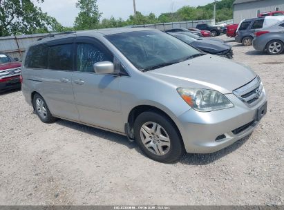 Photo HONDA odyssey ex-l.