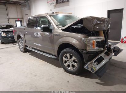 Photo FORD f-150 xlt.